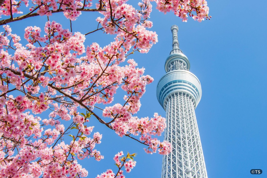 Objevte zázraky TOKYO SKYTREE: nezbytná zastávka pro cestovatele