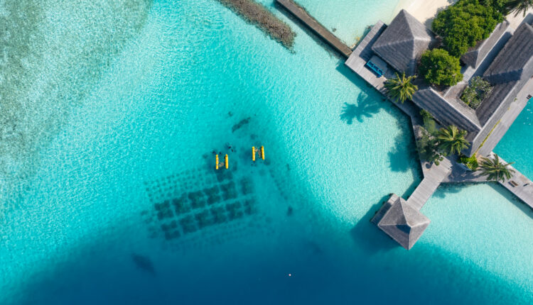 Coral Conservation Efforts at Sheraton Maldives Full Moon Resort and Reefscapers