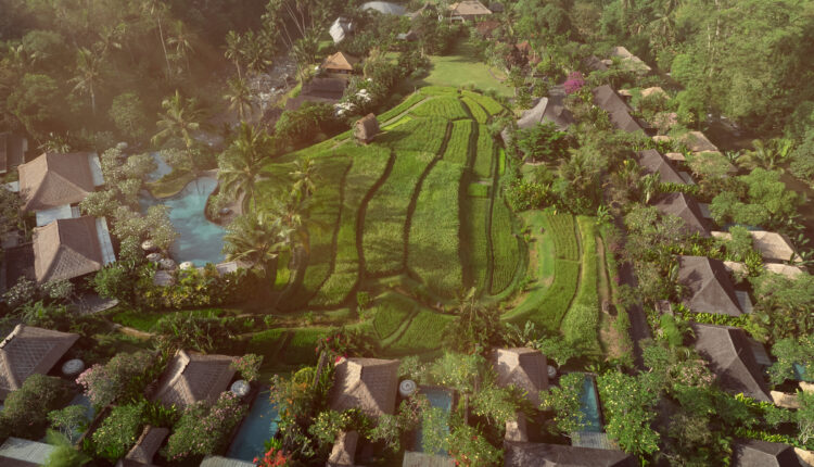 Mandapa, a Ritz-Carlton Reserve Joins the Exclusive 50 Best Discovery Collection