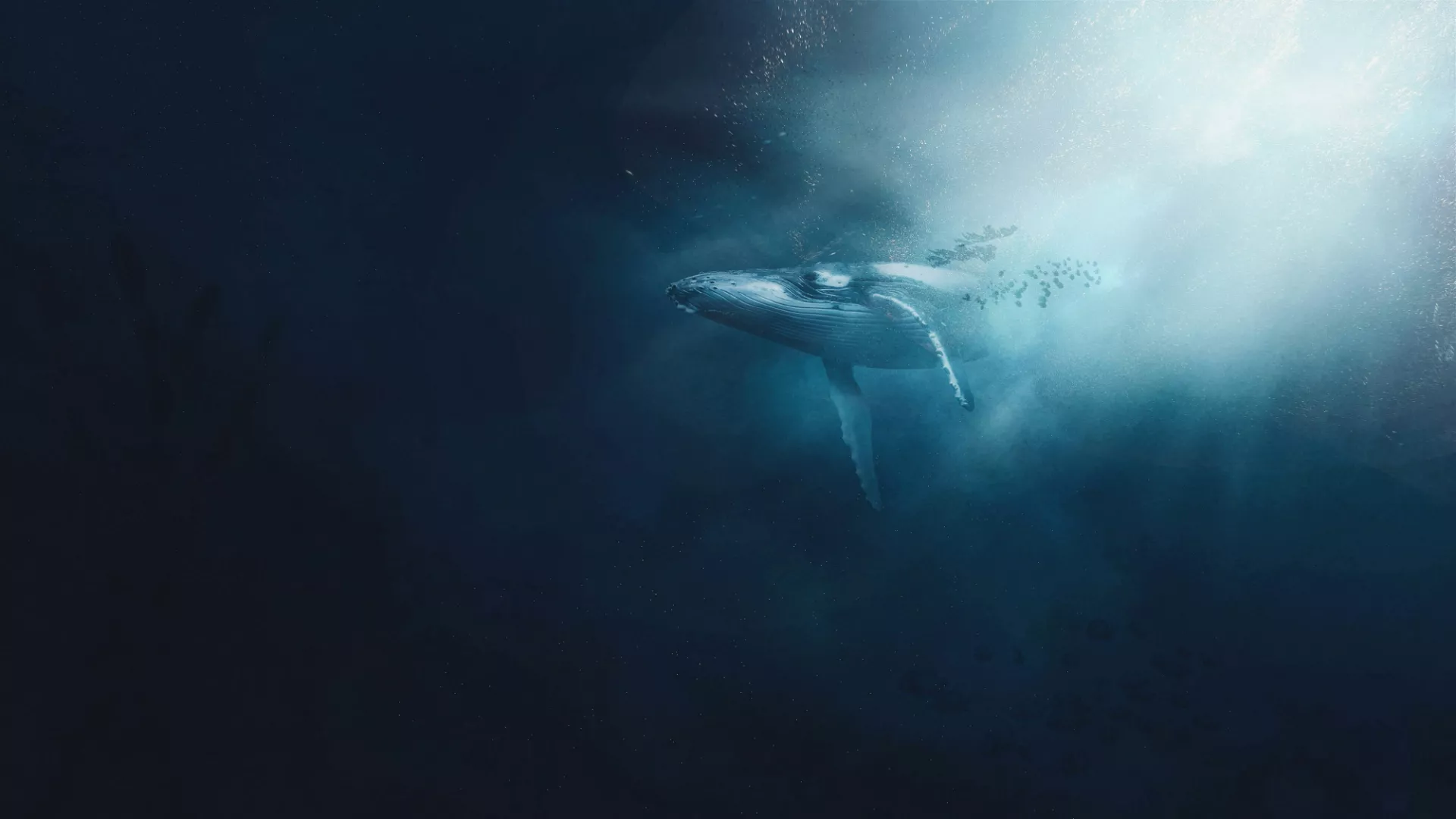 The Impact of Whale Songs on Tourists’ Environmental Mindset