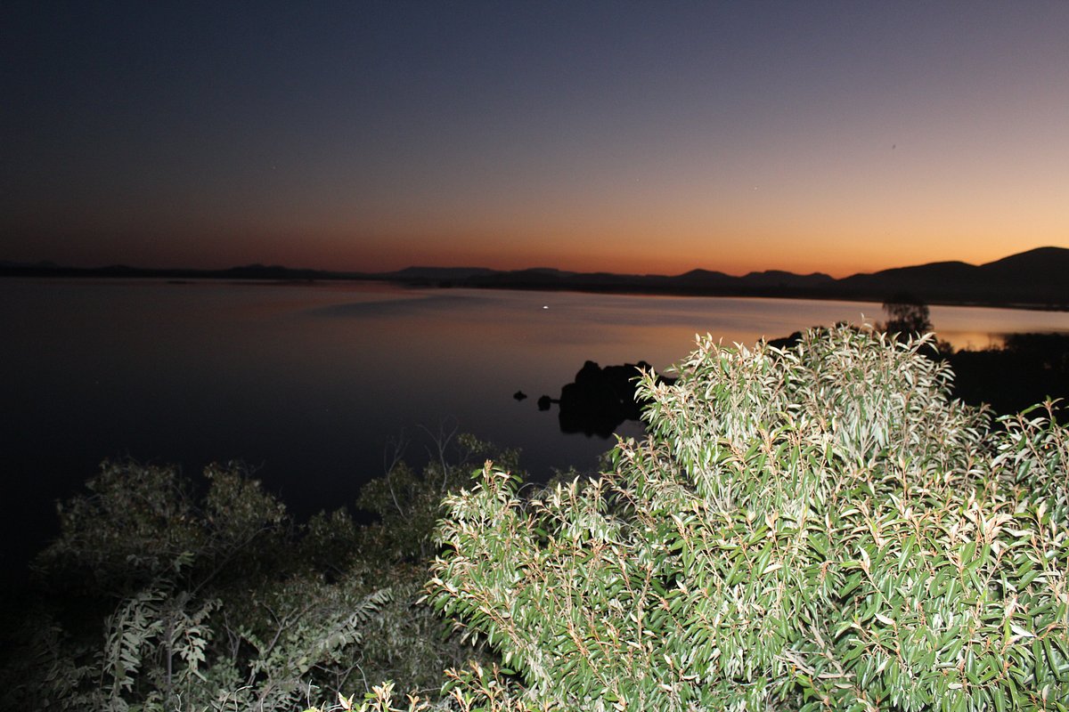 Sauvegarde de la nature et des voyageurs au barrage de Gaborone