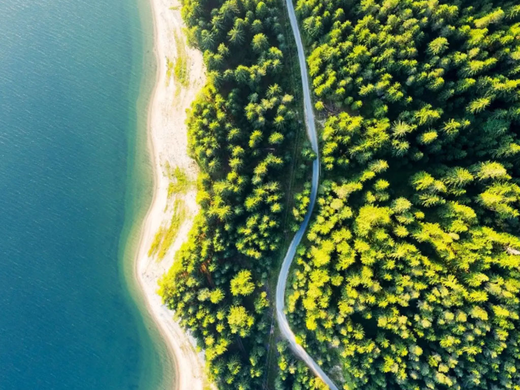 Nouveaux outils pour le voyage durable : WTTC et Greenview's ESG Policy Tracker