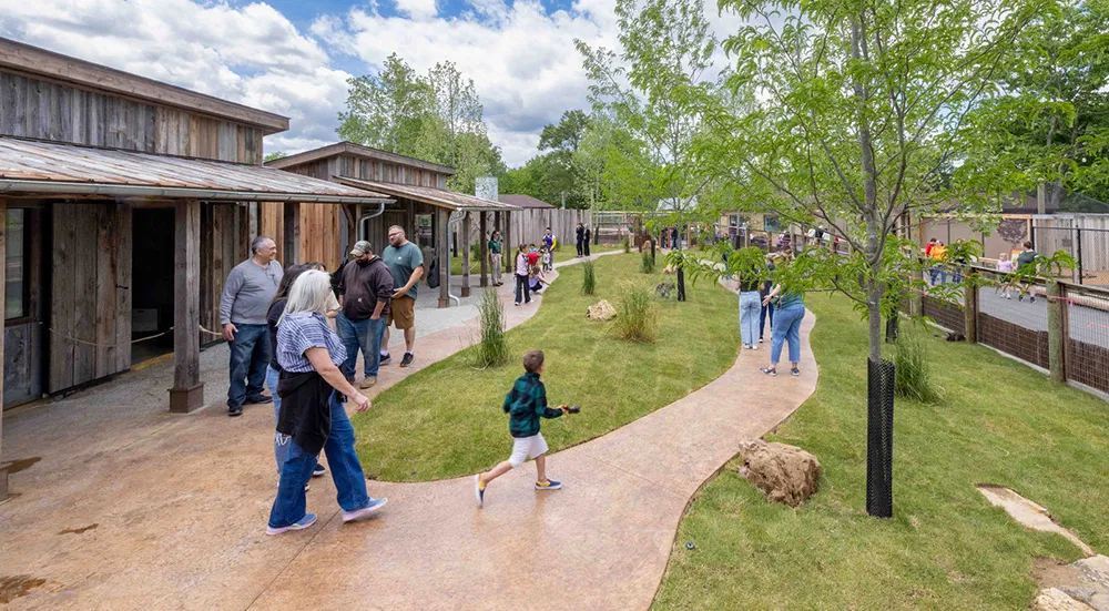 Discover the New Wallaby Walkabout and Butterfly House at the Creation Zoo