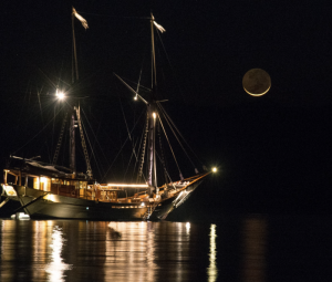 Embrace Ocean Conservation with Silolona Sojourns on World Ocean Day