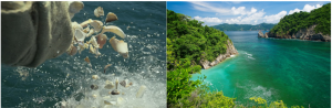 Exploring Costa Rica’s Innovations in Ocean Protection Through Technology